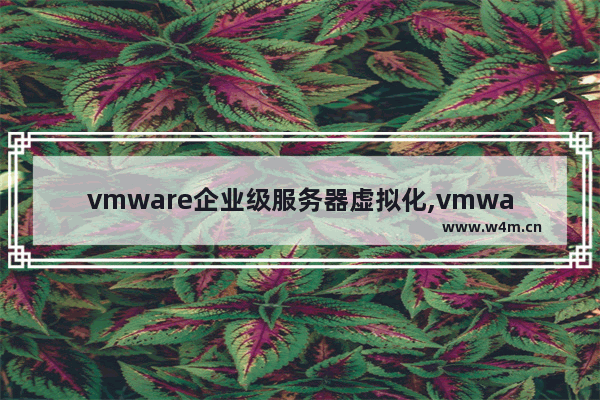 vmware企业级服务器虚拟化,vmware 企业虚拟机