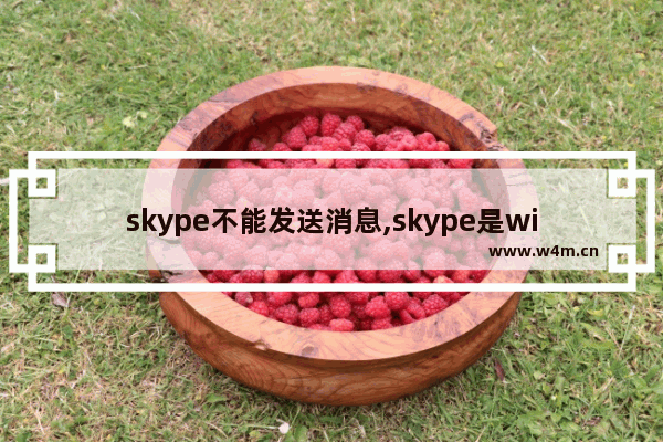 skype不能发送消息,skype是win10自带的吗