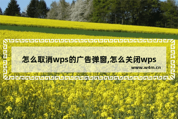 怎么取消wps的广告弹窗,怎么关闭wps热点和广告推送