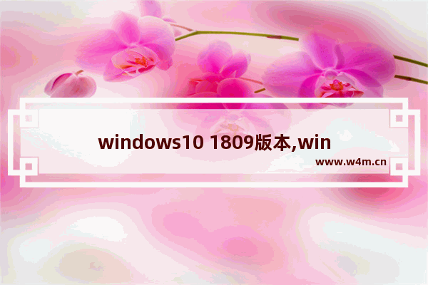 windows10 1809版本,windows 1809版本