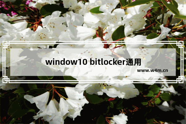 window10 bitlocker通用密钥,bitlocker 驱动器加密 win10