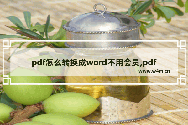 pdf怎么转换成word不用会员,pdf怎么转换成word不用会员