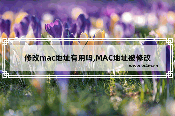 修改mac地址有用吗,MAC地址被修改