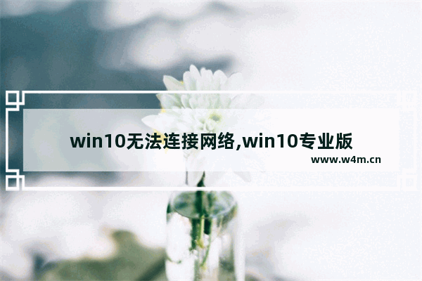 win10无法连接网络,win10专业版连不上网络