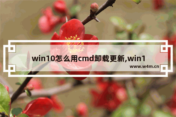 win10怎么用cmd卸载更新,win10强制卸载windows补丁