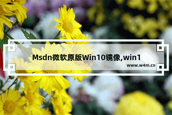 Msdn微软原版Win10镜像,win10镜像 msdn