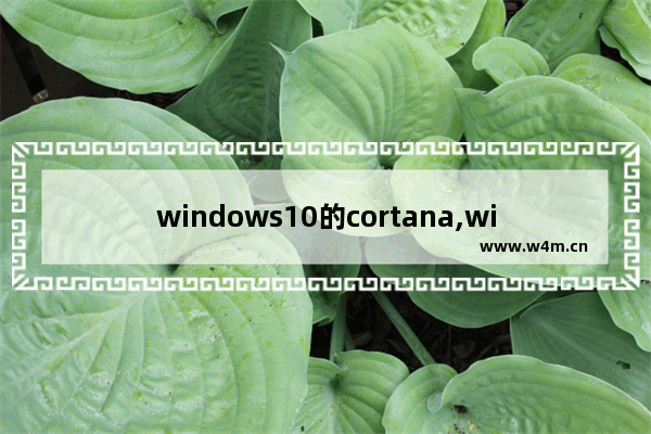 windows10的cortana,win10cortana有用吗