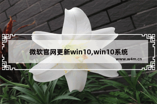 微软官网更新win10,win10系统