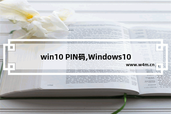 win10 PIN码,Windows10 pin码作用