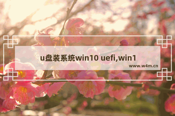 u盘装系统win10 uefi,win10 uefi启动U盘