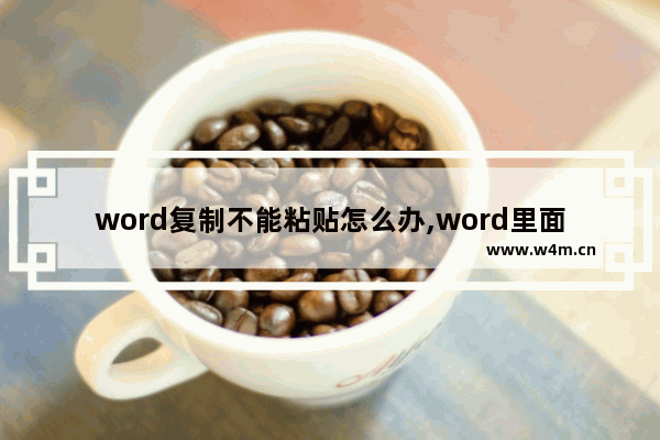 word复制不能粘贴怎么办,word里面无法复制粘贴