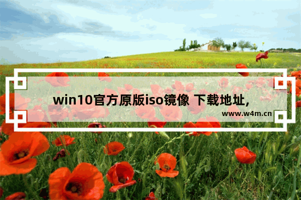 win10官方原版iso镜像 下载地址,win10原版系统iso镜像下载