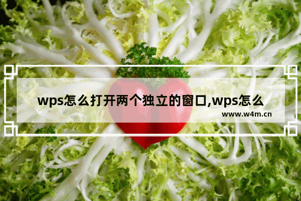 wps怎么打开两个独立的窗口,wps怎么设置可以打开2个独立窗口