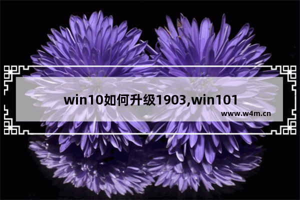 win10如何升级1903,win101809怎么升级到1903