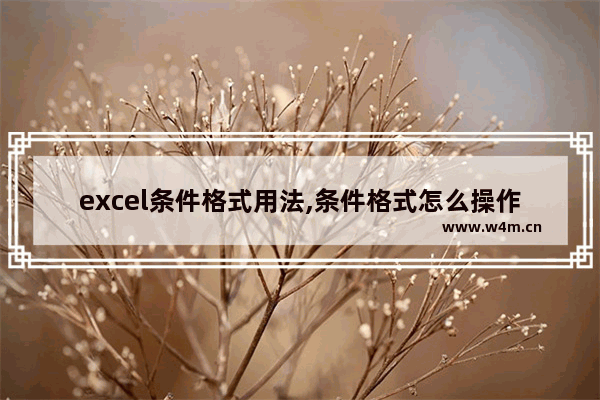 excel条件格式用法,条件格式怎么操作excel