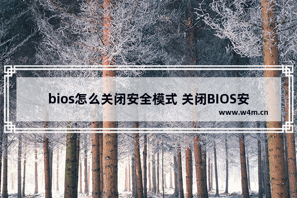 bios怎么关闭安全模式 关闭BIOS安全模式的方法