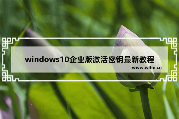 windows10企业版激活密钥最新教程,win10企业版激活方法_Windows10系统之家