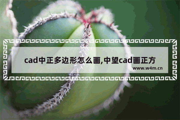 cad中正多边形怎么画,中望cad画正方形