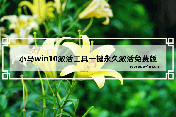 小马win10激活工具一键永久激活免费版,window10小马激活工具