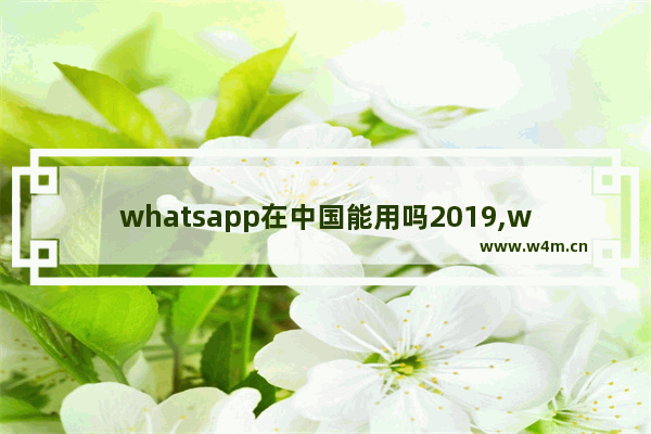 whatsapp在中国能用吗2019,whatsapp现在能用吗