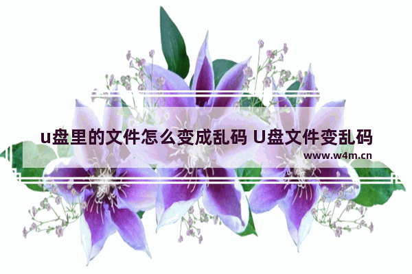 u盘里的文件怎么变成乱码 U盘文件变乱码怎么办