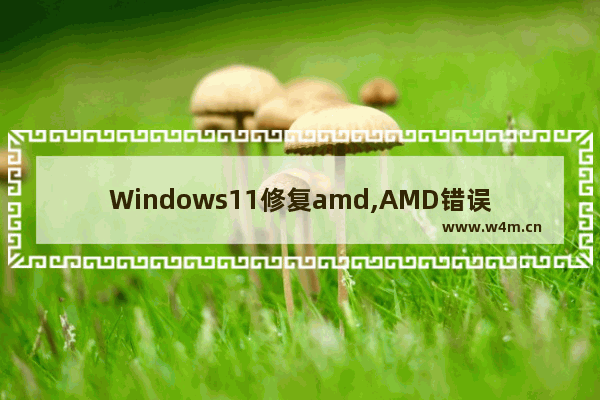 Windows11修复amd,AMD错误