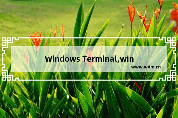 Windows Terminal,windows控制台常用命令