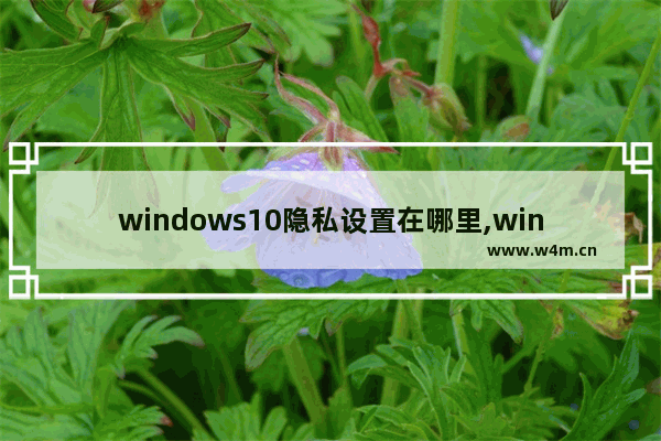 windows10隐私设置在哪里,windows10隐私设置咋选