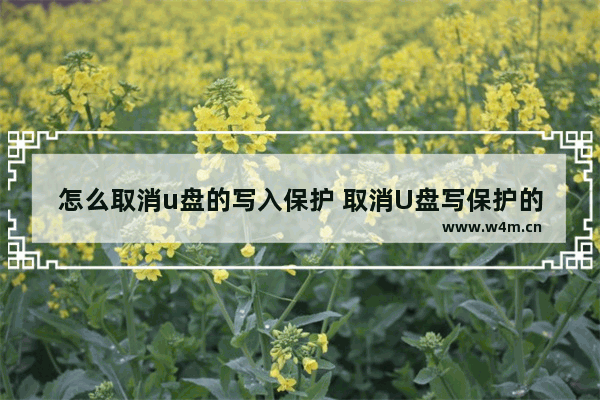 怎么取消u盘的写入保护 取消U盘写保护的方法