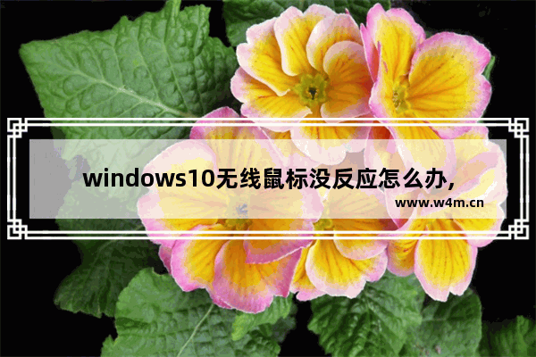 windows10无线鼠标没反应怎么办,win10无线鼠标无法使用