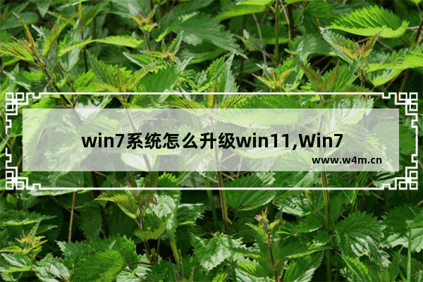 win7系统怎么升级win11,Win7系统怎么升级win10