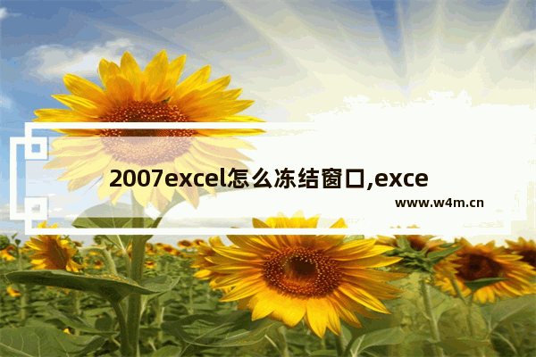 2007excel怎么冻结窗口,excel2010冻结窗口怎么设置