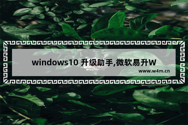 windows10 升级助手,微软易升Win10升级助手_1