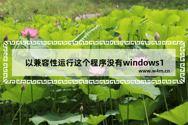 以兼容性运行这个程序没有windows10,软件和win10的兼容问题