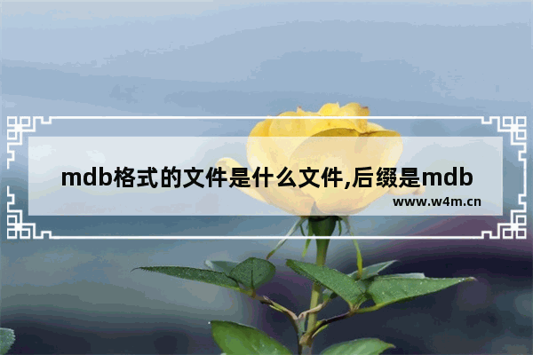 mdb格式的文件是什么文件,后缀是mdb的文件怎么打开