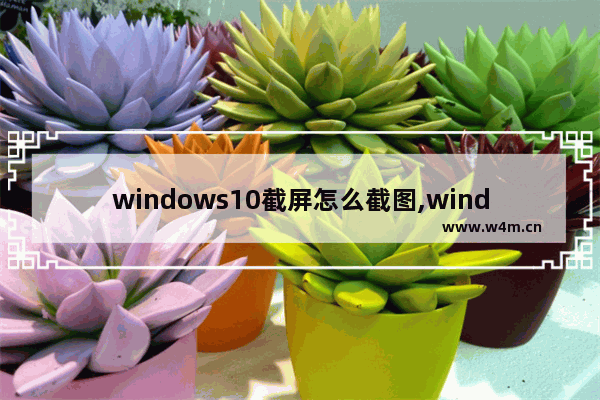 windows10截屏怎么截图,windows10截图怎么截图