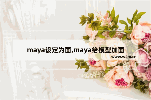 maya设定为面,maya给模型加面