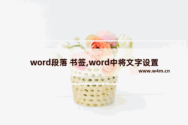 word段落 书签,word中将文字设置为书签