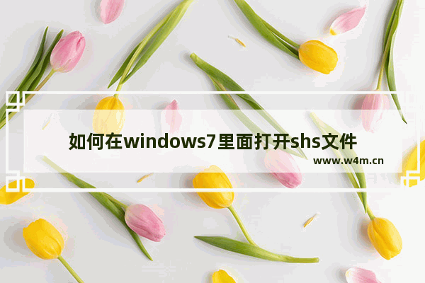 如何在windows7里面打开shs文件,.shs是什么文件