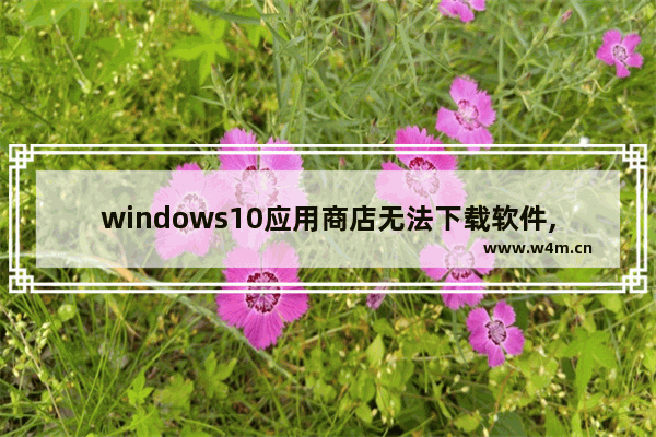 windows10应用商店无法下载软件,window10系统应用商店无法安装软件