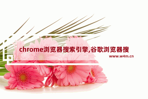 chrome浏览器搜索引擎,谷歌浏览器搜索栏