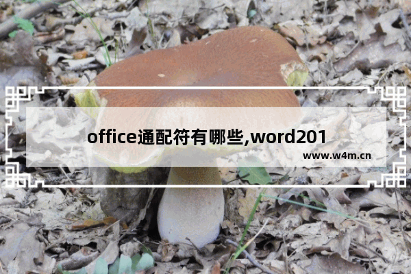 office通配符有哪些,word2010通配符