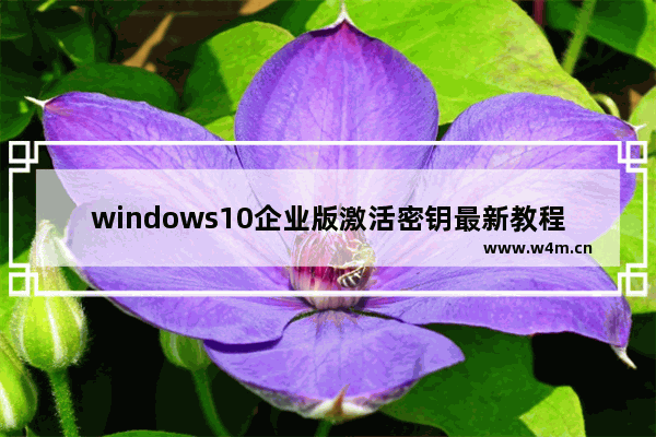 windows10企业版激活密钥最新教程,win10激活码