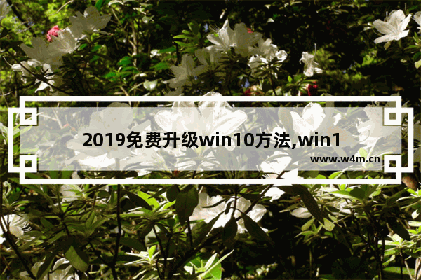 2019免费升级win10方法,win10 2016升级到2019