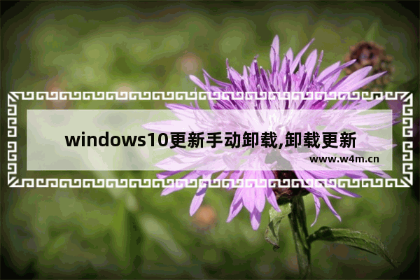 windows10更新手动卸载,卸载更新 win10