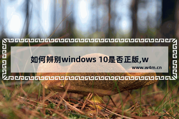 如何辨别windows 10是否正版,window10专业版正版怎么检验