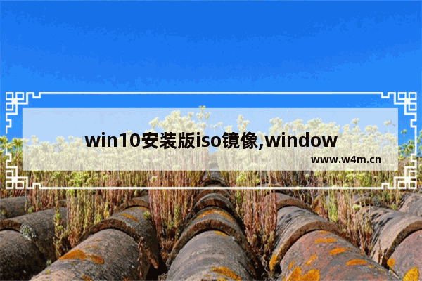 win10安装版iso镜像,windows10正式版官方原版镜像iso下载地址