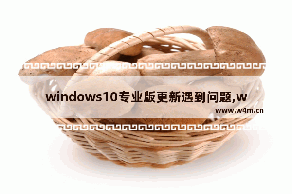 windows10专业版更新遇到问题,win10版本到期更新