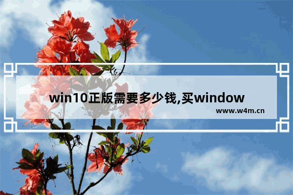 win10正版需要多少钱,买windows10要多少钱