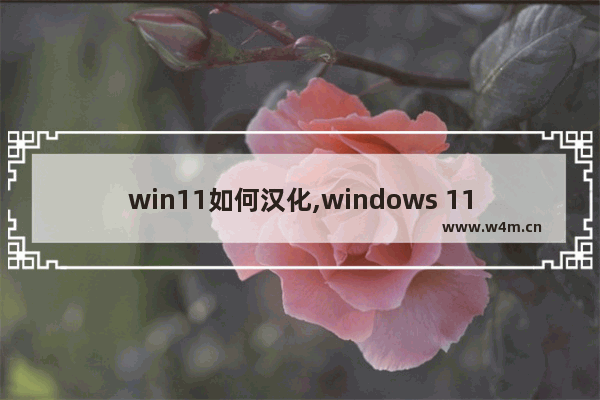 win11如何汉化,windows 11汉化